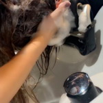 冬にヘッドスパがオススメです！